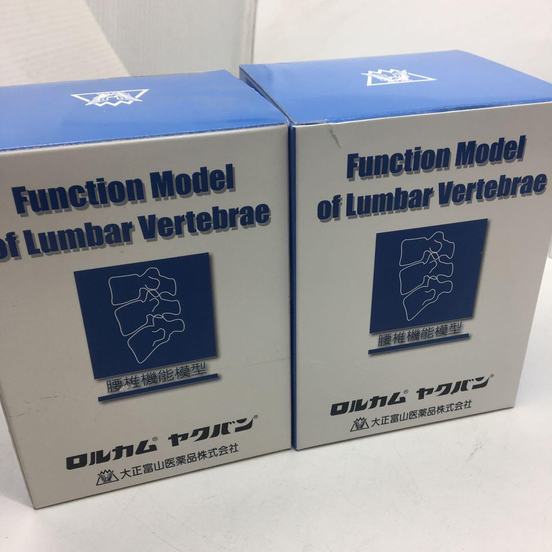 大正製薬　人体模型　関節　骨