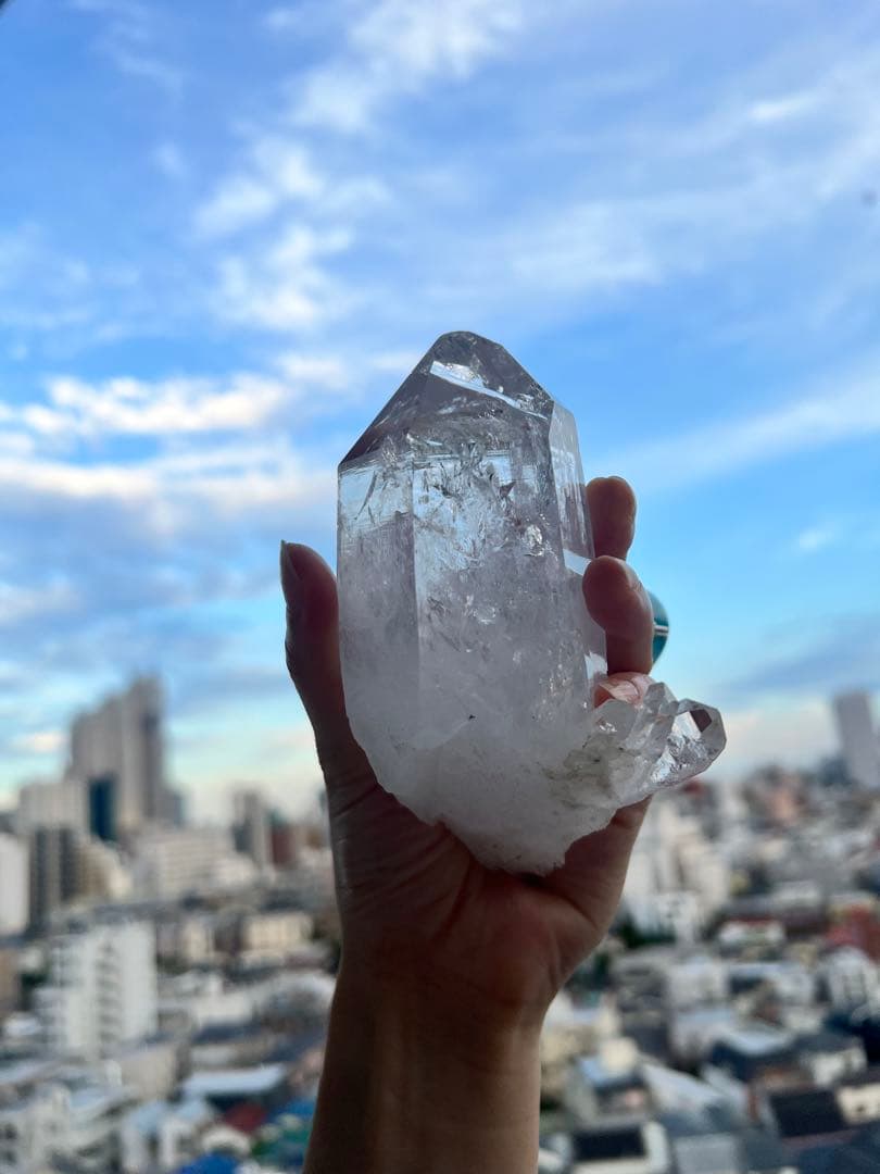 美✨超希少✨AAAAA 特大 コロンビアレムリアン✨my collection✨