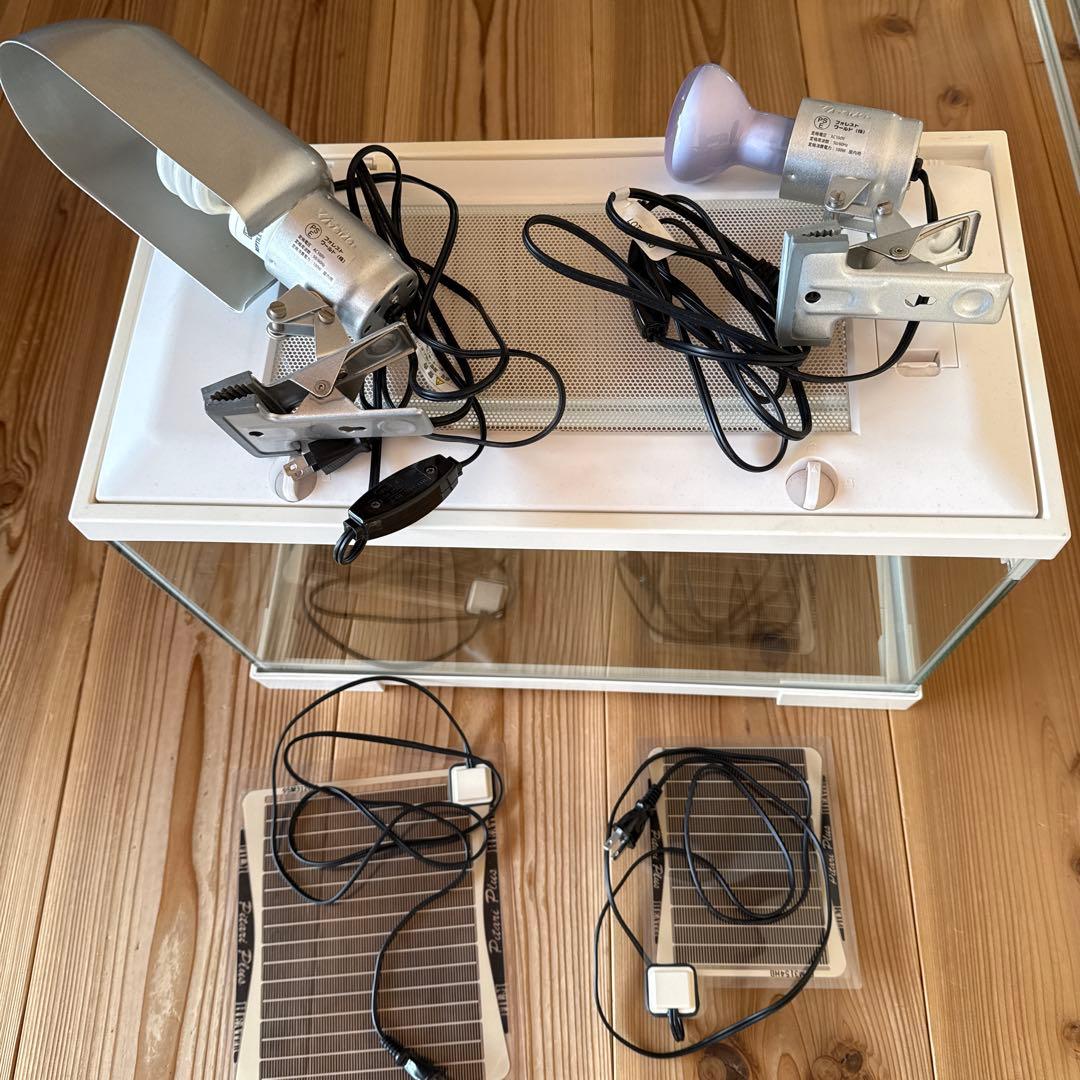 爬虫類　飼育セット　エキゾテラ