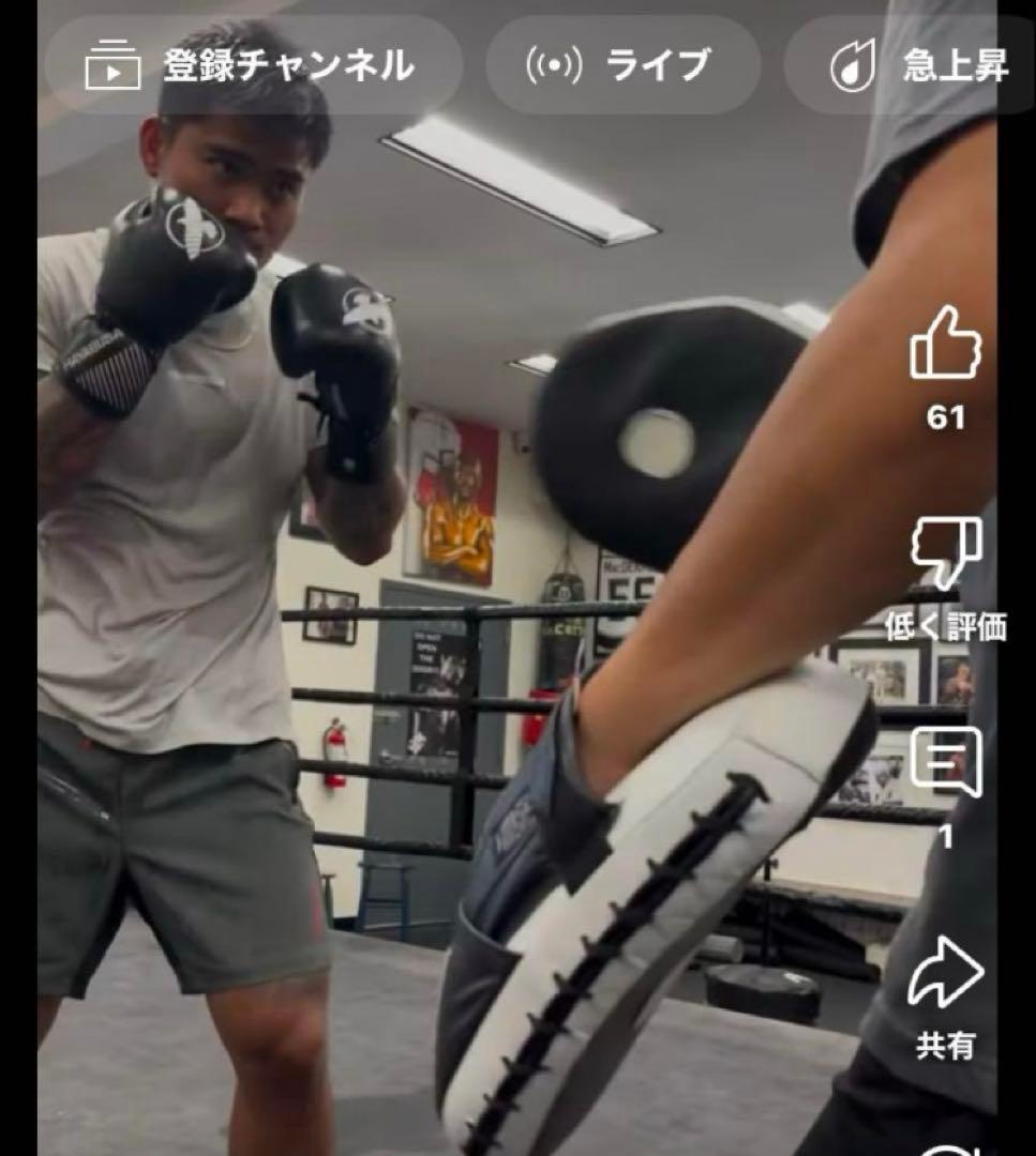 日本未発売HAYABUSA ボクシンググローブ 黒 試合用 8オンス