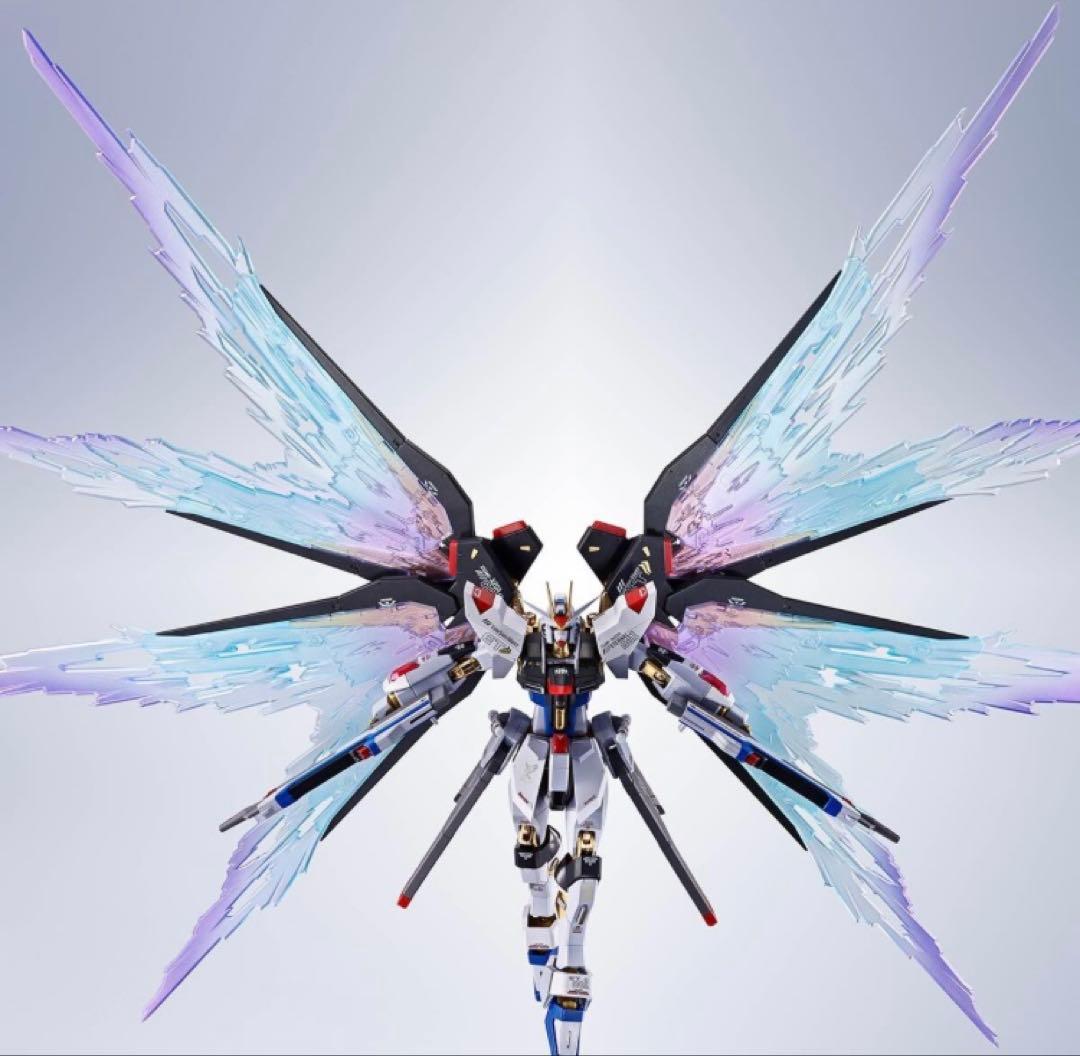 L ROBOT魂 ストフリ Re:Coordinate+光の翼セット