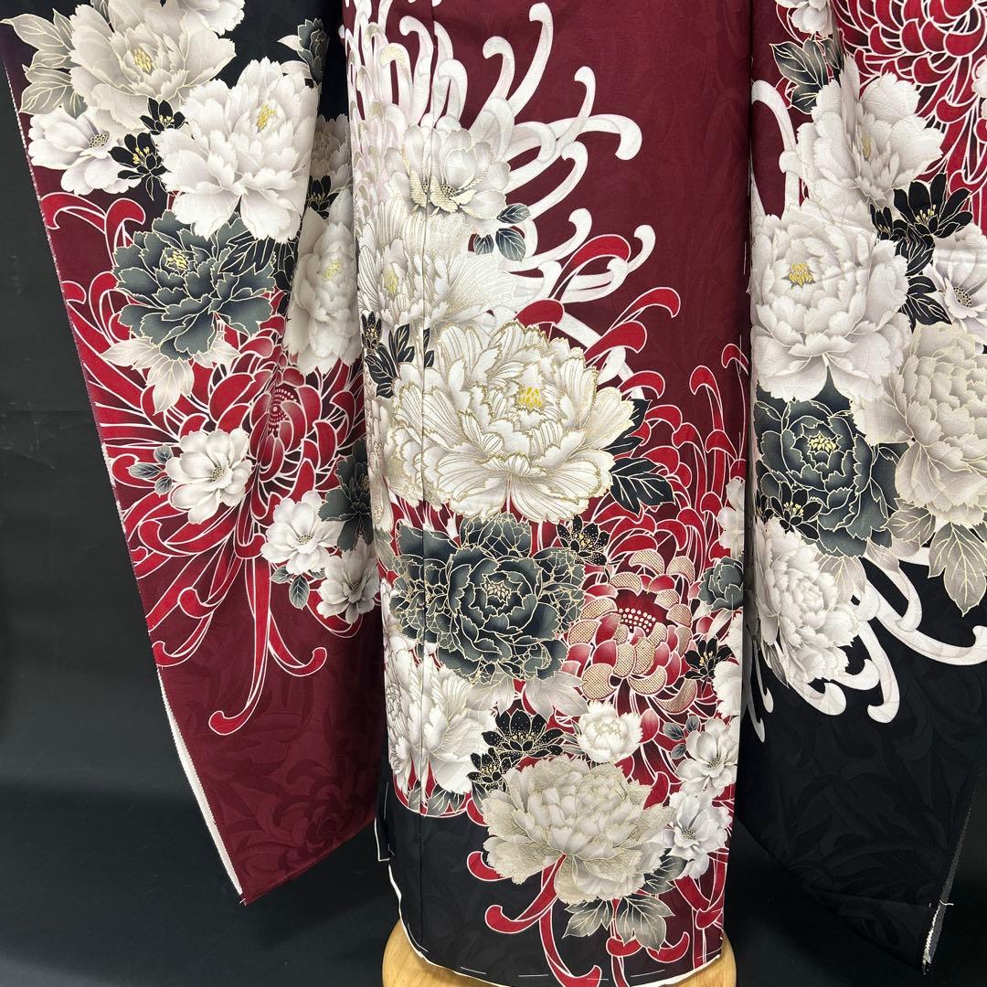 エンジと黒の染め分け牡丹と菊の振袖フルセット