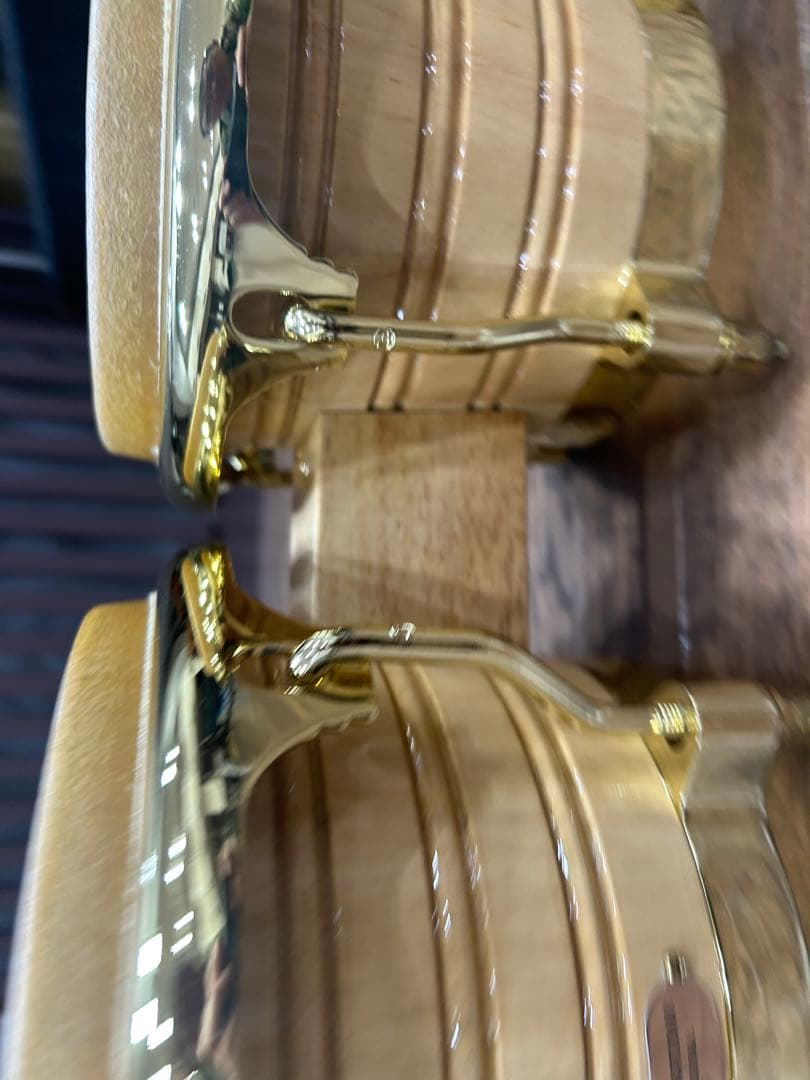 LP GENERATION II PROFESSIONAL ボンゴ　ケース付属品