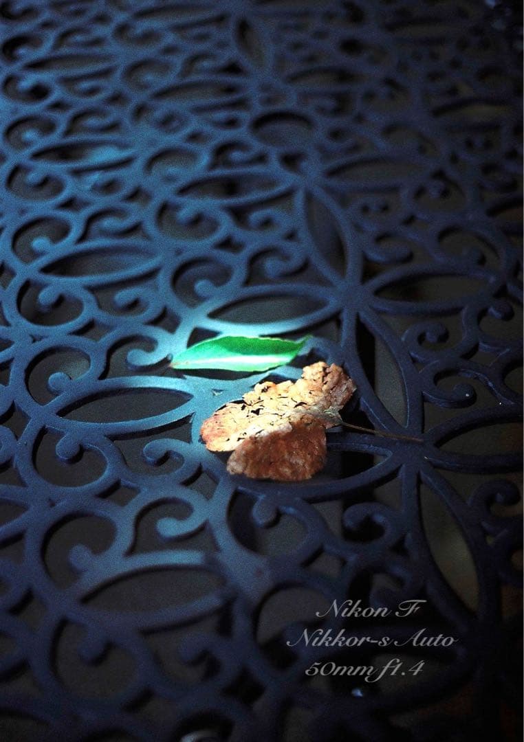 ★完動品＊美品★nikon f フォトミックftn／50mm f1.4／作例多数