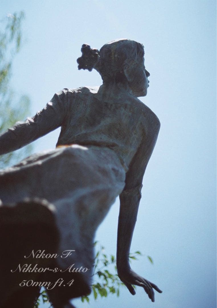 ★完動品＊美品★nikon f フォトミックftn／50mm f1.4／作例多数