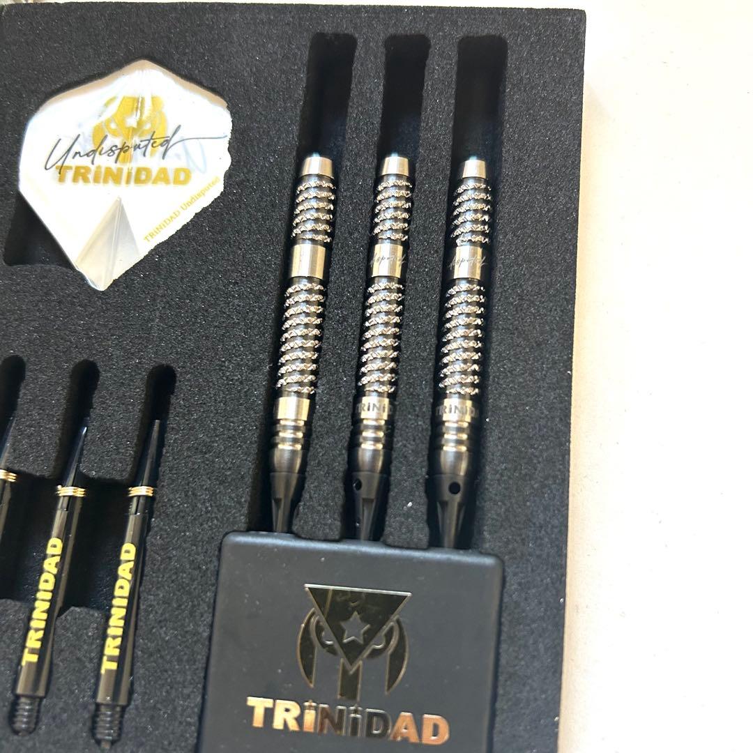 リカルド2 エスダーツ限定 浅田斉吾 トリニダード TRINIDAD ダーツ