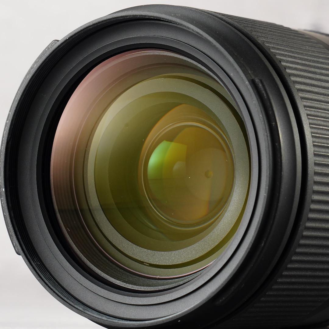 α1検証済｜Tamron 28-200mm F2.8 実写 家族旅行の失敗ゼロ