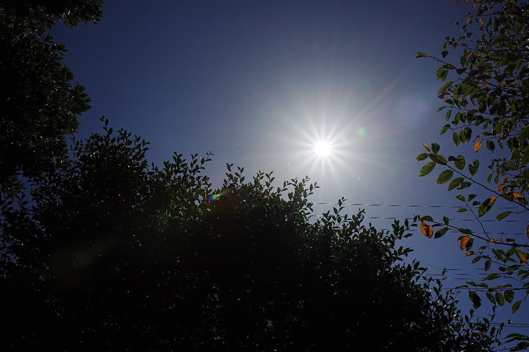 α1検証済｜Tamron 28-200mm F2.8 実写 家族旅行の失敗ゼロ