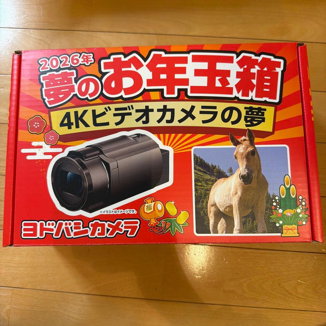 SONY 4Kビデオカメラ FDR-AX45 本体