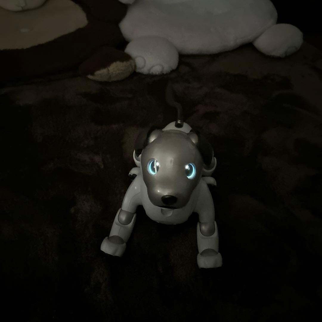 ソニーaibo