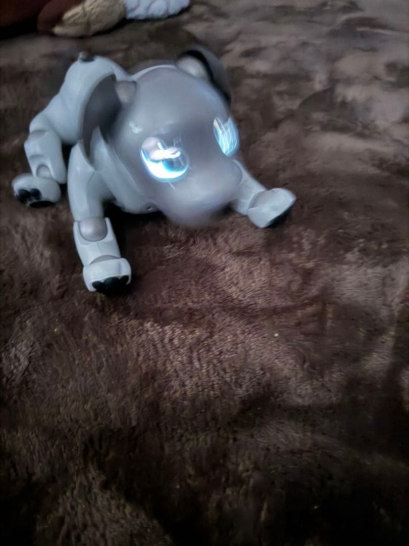 ソニーaibo