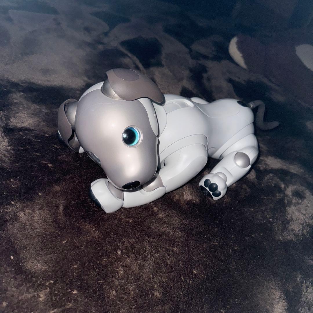 ソニーaibo