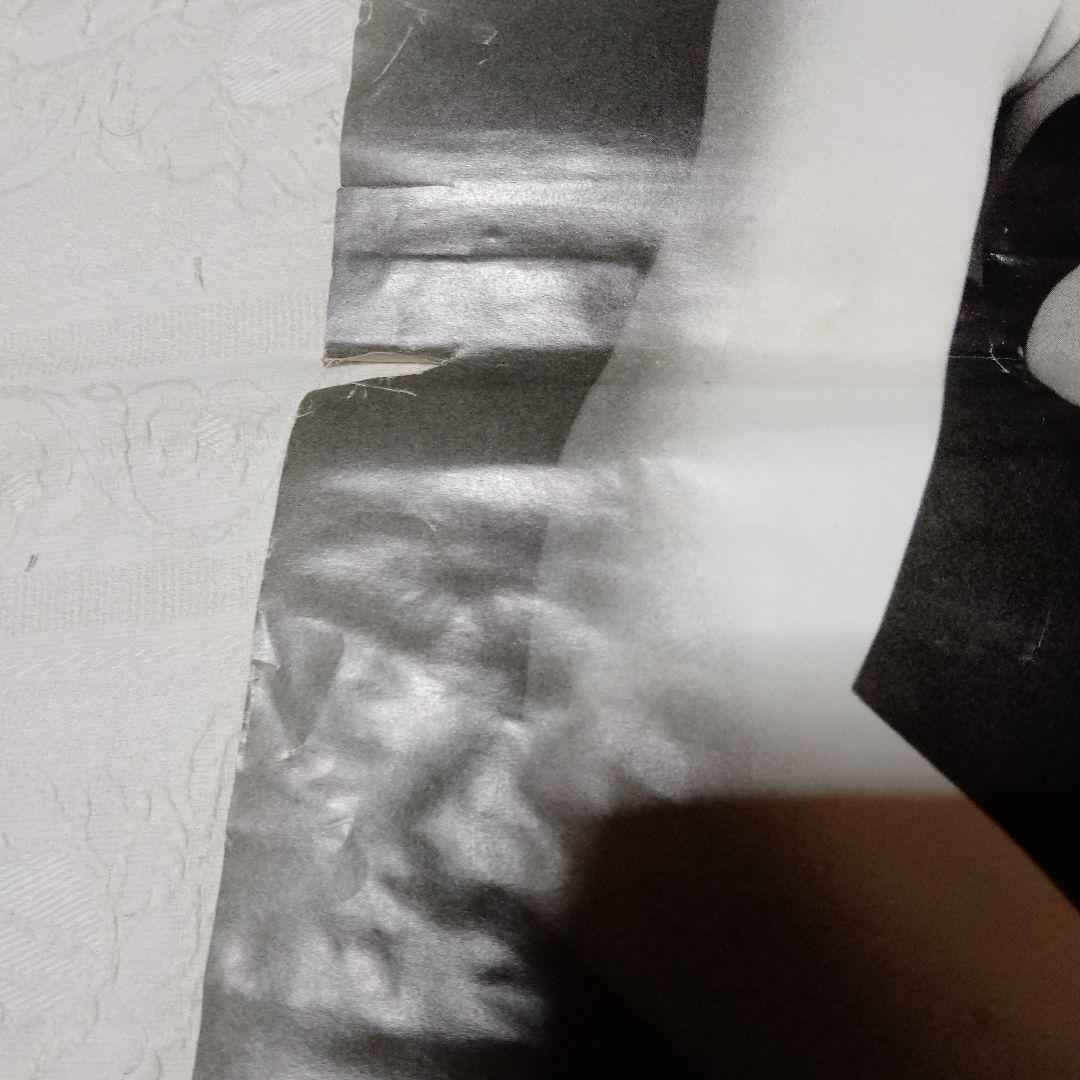 マドンナ 　MADONNA　　　　　　　　　　1993年カレンダー（Χ）超希少品