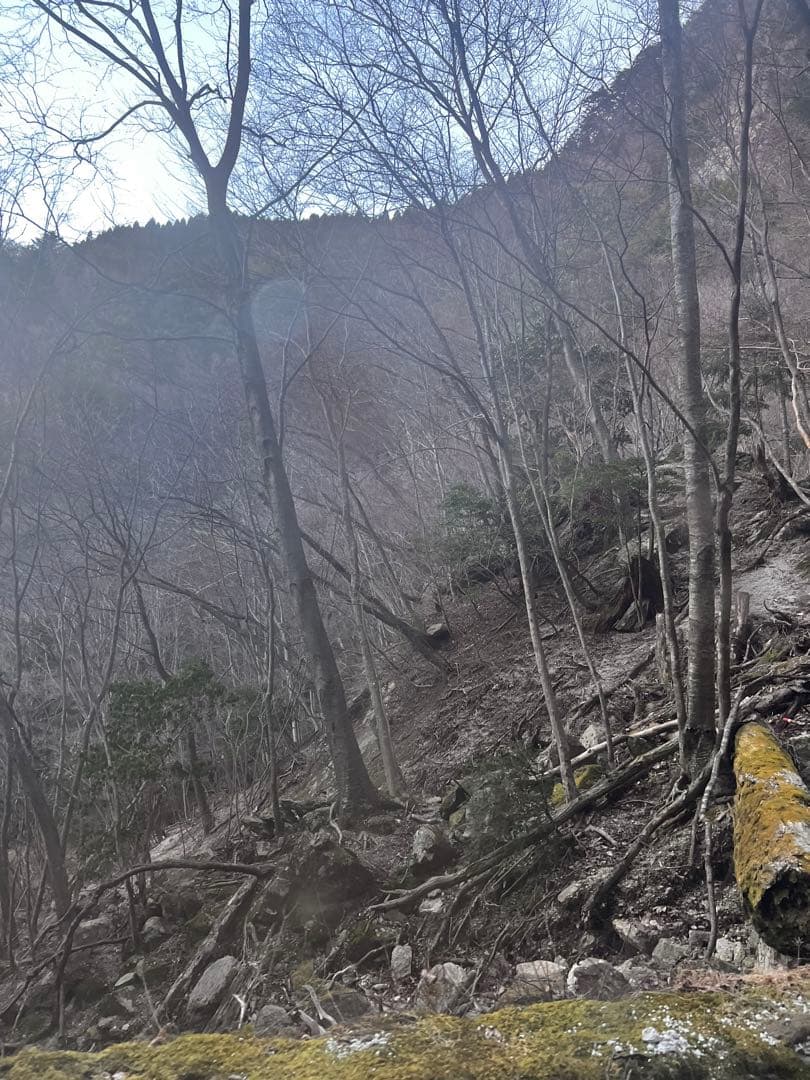 持ち主を開運へと導く⭐︎高千穂水晶ペンダントトップ☆保護猫セール☆