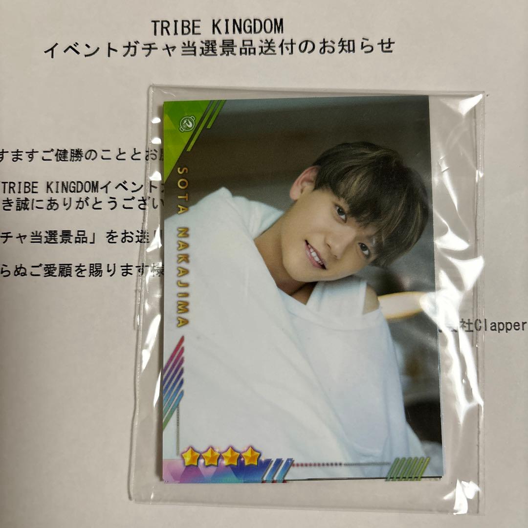 FANTASTICS 中島颯太　そた本　トライブキングダム　リアルカード