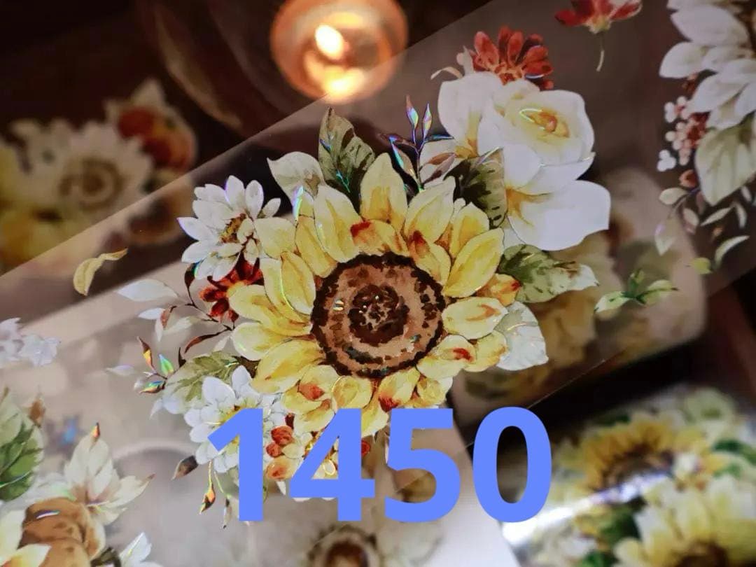 みどちゃん　0825