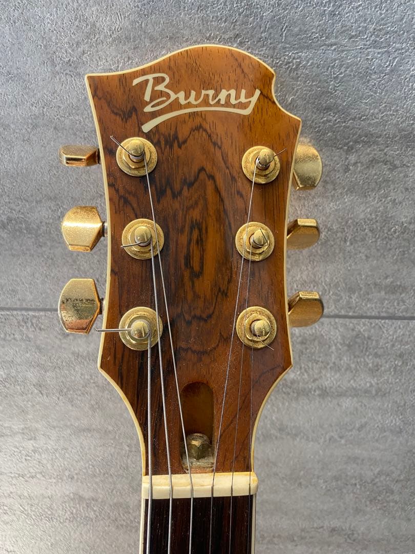 FERNANDES Burny MG-85X モッキンバード　hide