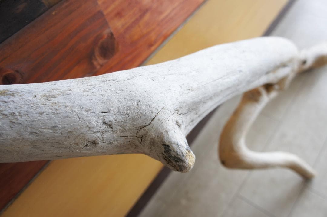 送料無料 流木 インテリア 大型サイズ オブジェ　飼育ケージ　登り木　爬虫類