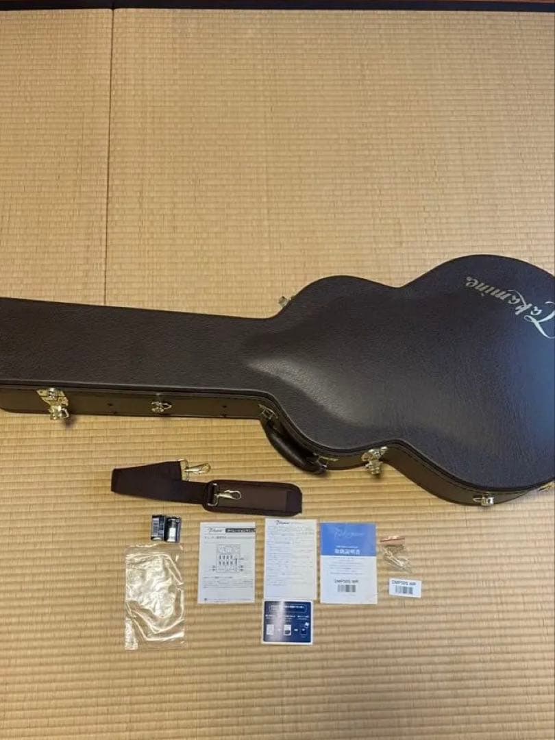 Takamine DMP50S WR アコースティックギター
