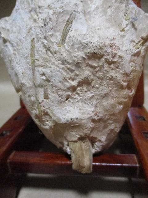 塑像女子俑頭部　Q19-1