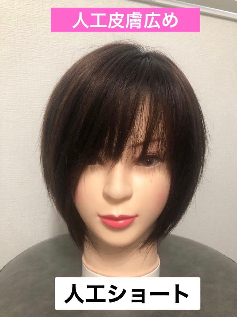 人毛王道ショートウィッグ ブラウン　未使用