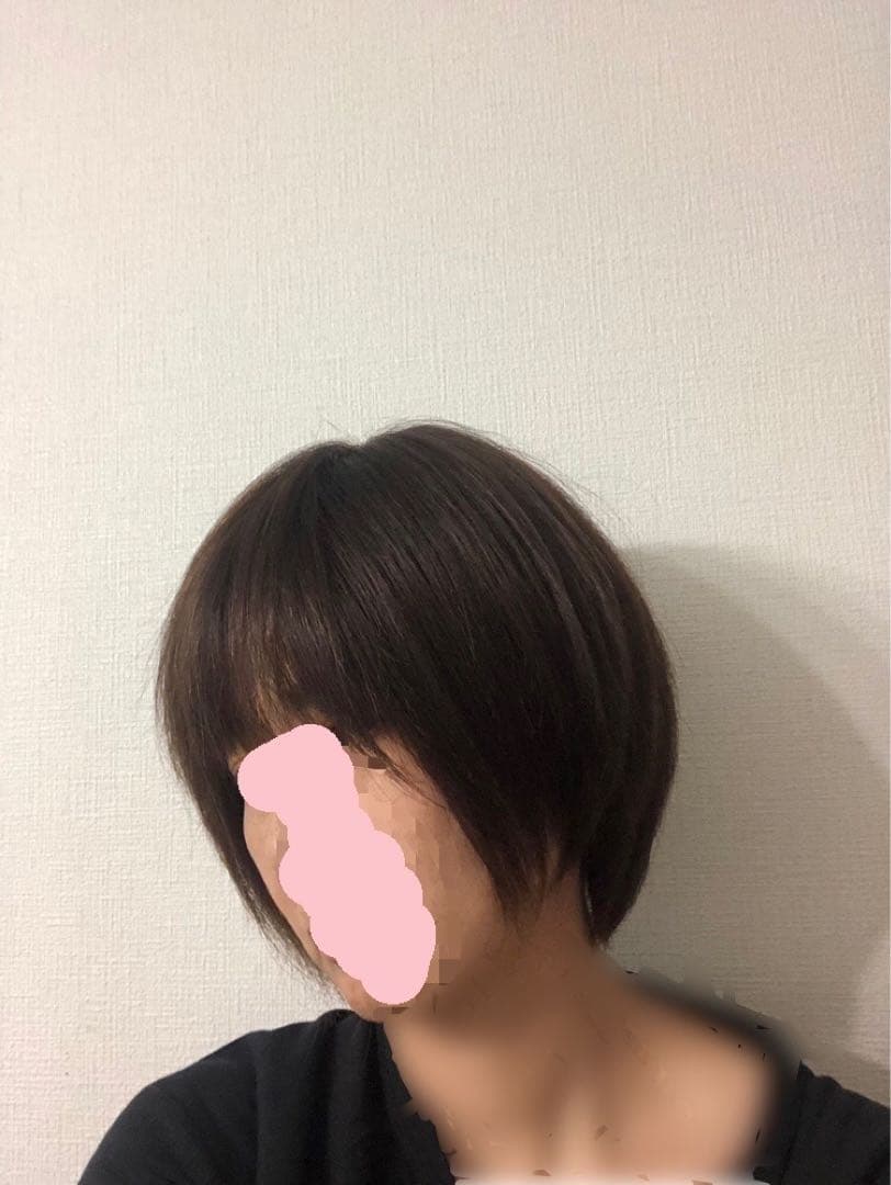 人毛王道ショートウィッグ ブラウン　未使用