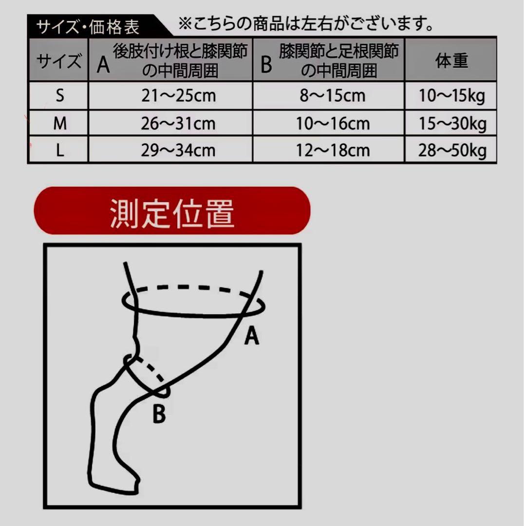 BALTO Sport Agile (膝サポーター)犬用　後ろ足　左 Mサイズ