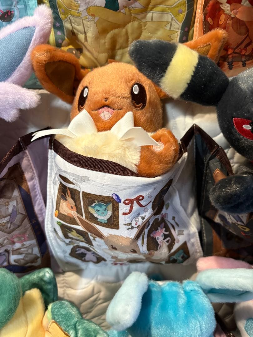 ポケモン　Eevee Collection 9匹➕ウォールポケットセット