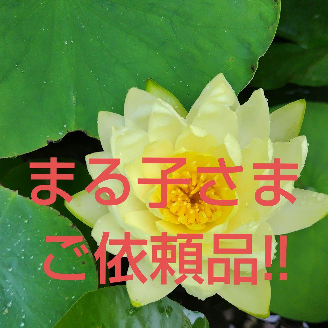 まる子さま専用!! #816 #817 特注布袋竹タモ網選別網