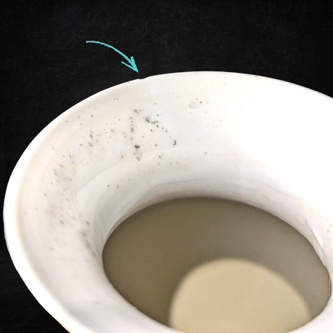 【豪華金彩に淡い色彩の牡丹桔梗】 花瓶＆飾皿セット 金彩手彩牡丹花文様