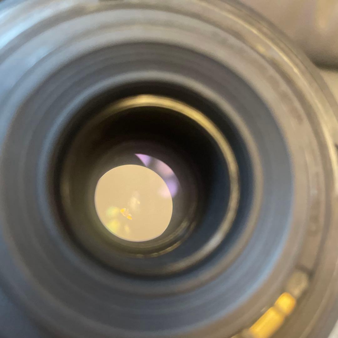 Canon EF-S 55-250mm ズームレンズ