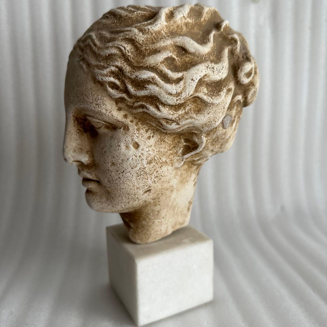 ギリシャ彫刻 石膏像 首像 古代 置物