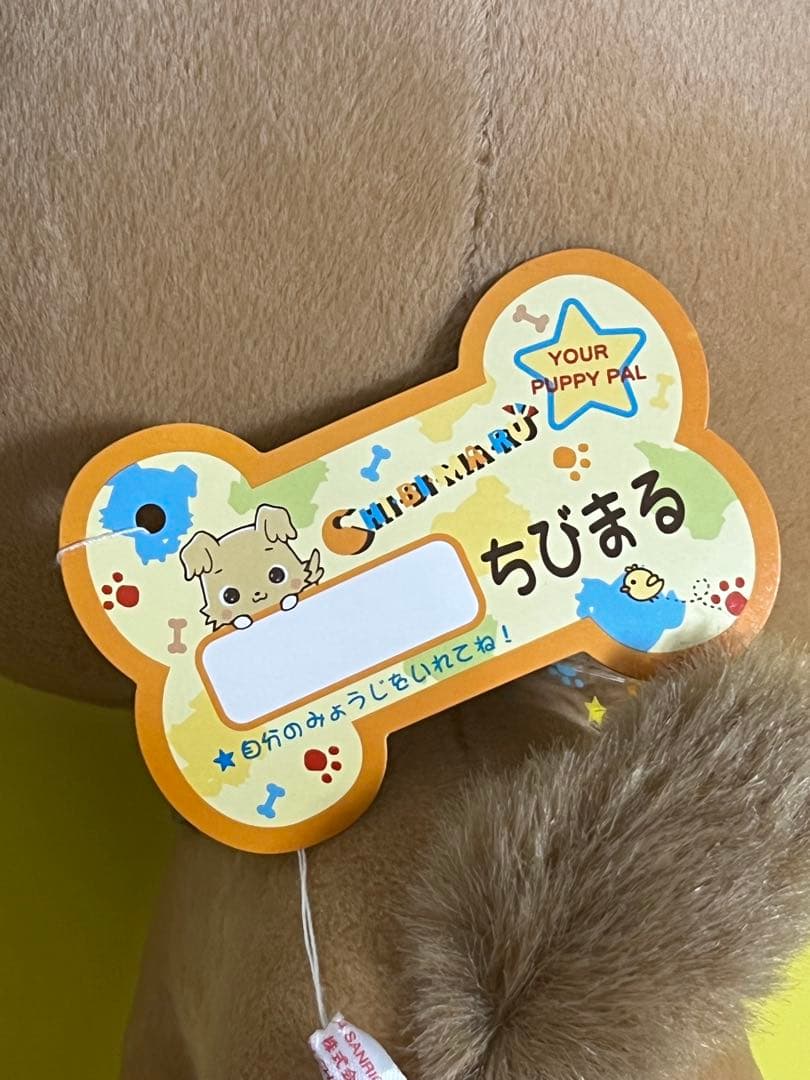【激レア】サンリオ　ちびまる　豆柴　ぬいぐるみ　首輪付き　美品　希少　タグ付