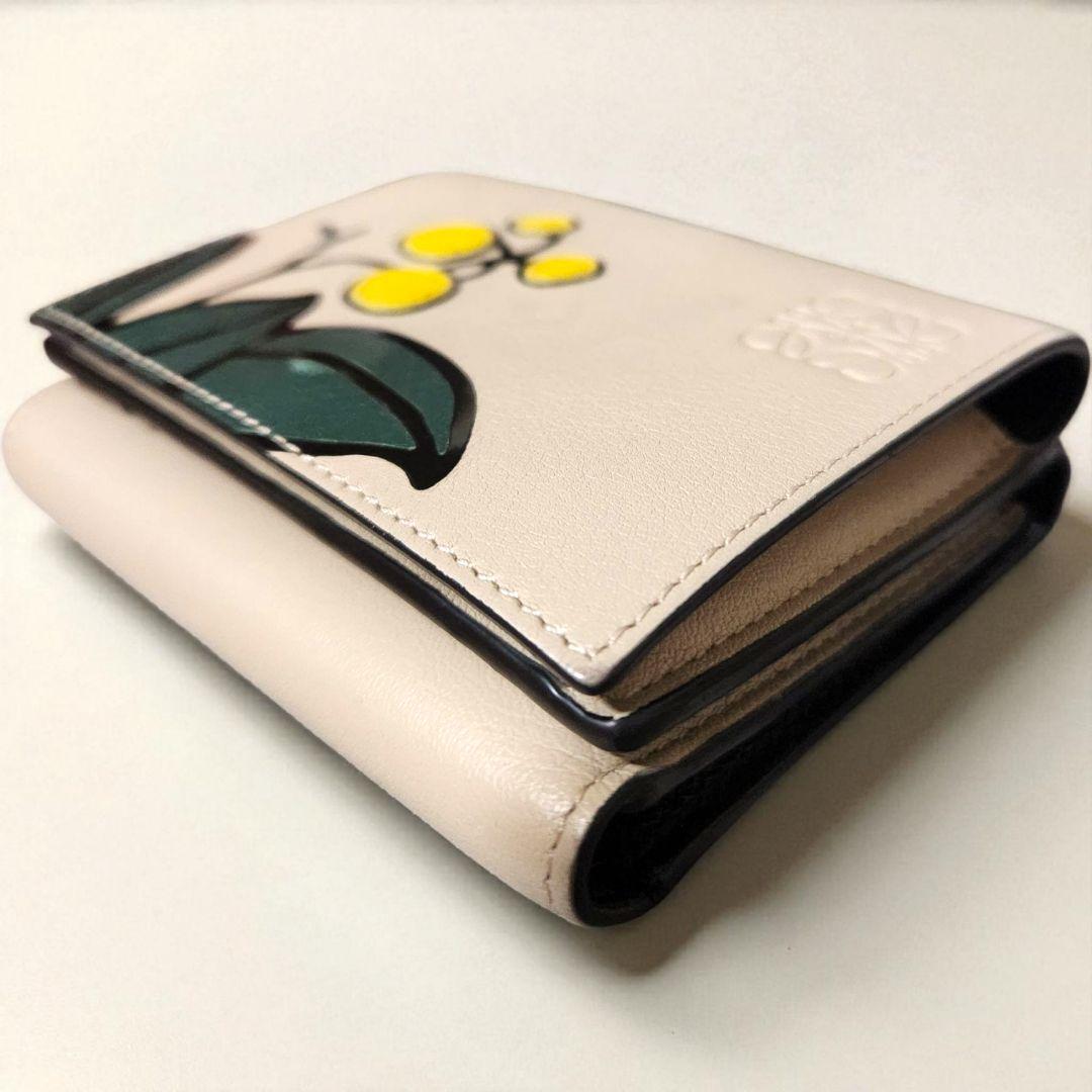 【TomokoN】LOEWE ロエベ 三つ折り財布 ハーバリウム 希少
