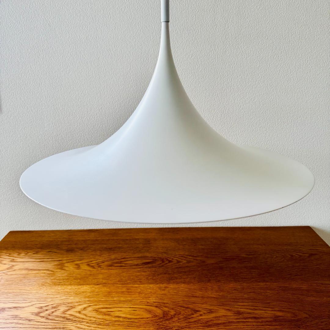 SEMI PENDANT Fog & Morup 47cm セミペンダントライト