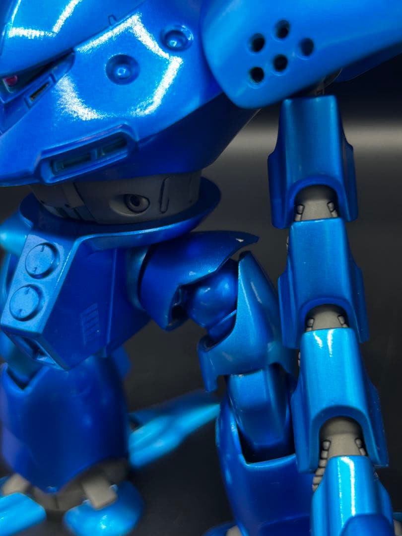 HG ハイゴッグ 全塗装完成品