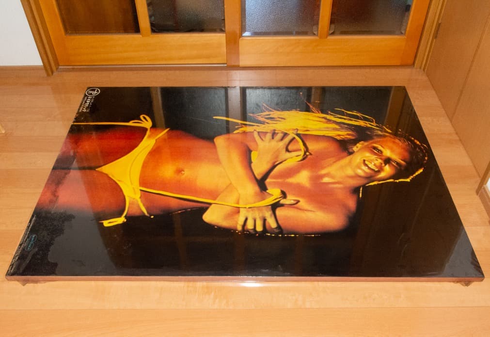 超特大 ユニチカ テイチクパック 水着 パネル 1970年代 高梨豊