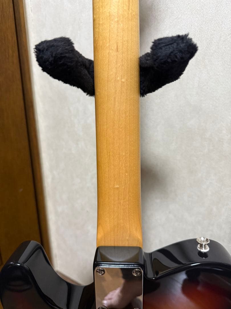 FgN(フジゲン)JTL 6R テレキャスタータイプ