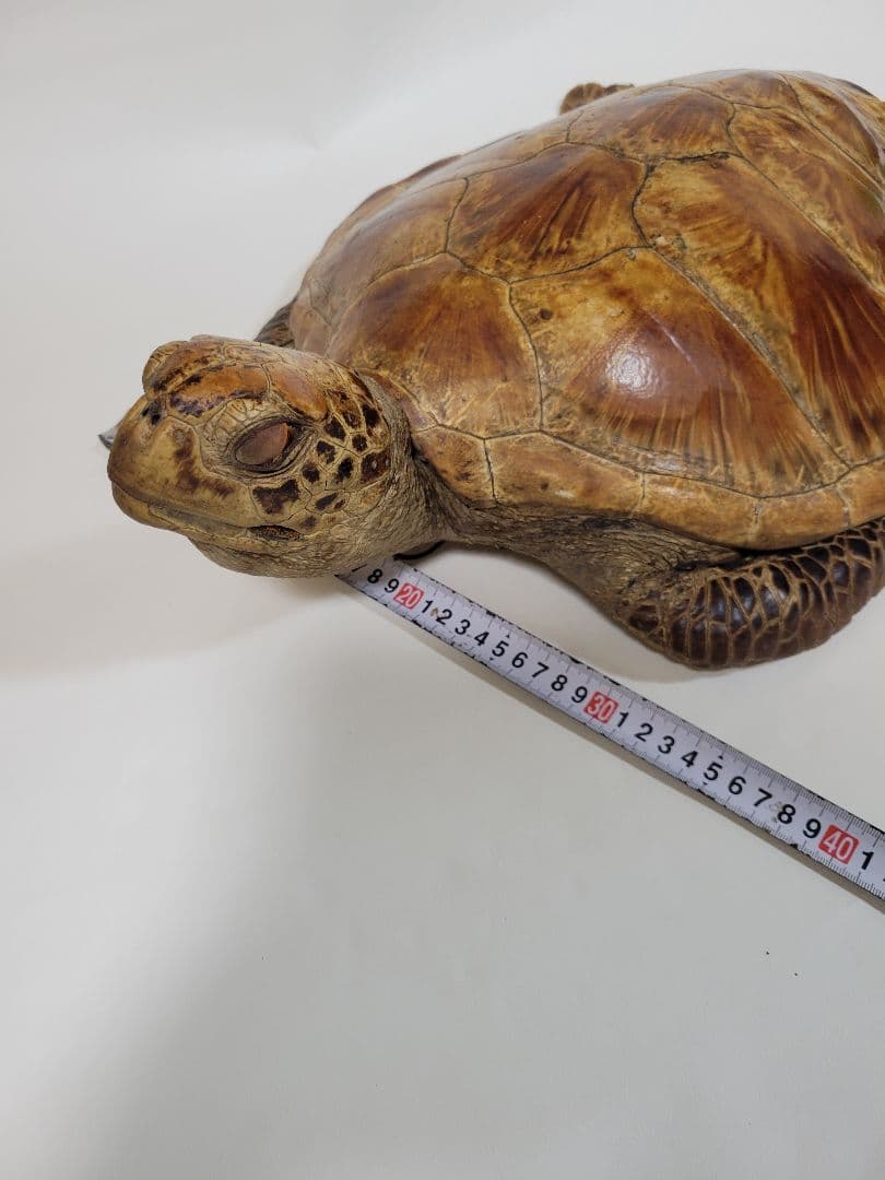 リアルな亀の置物 壁掛けインテリア