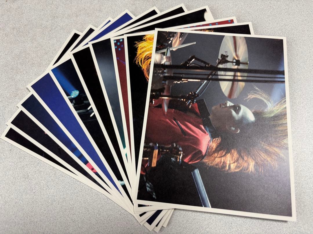 【超希少】★最終値下げ★バクチク現象 初回限定生産盤コレクターズBOX