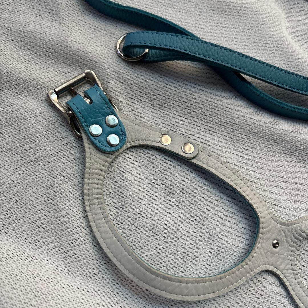 美品バディーベルト&レザーリードセット