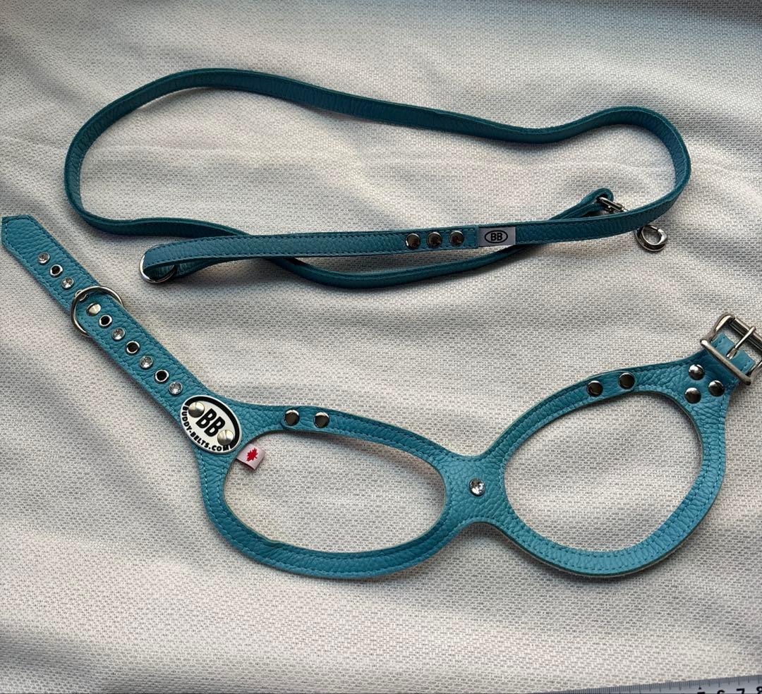 美品バディーベルト&レザーリードセット