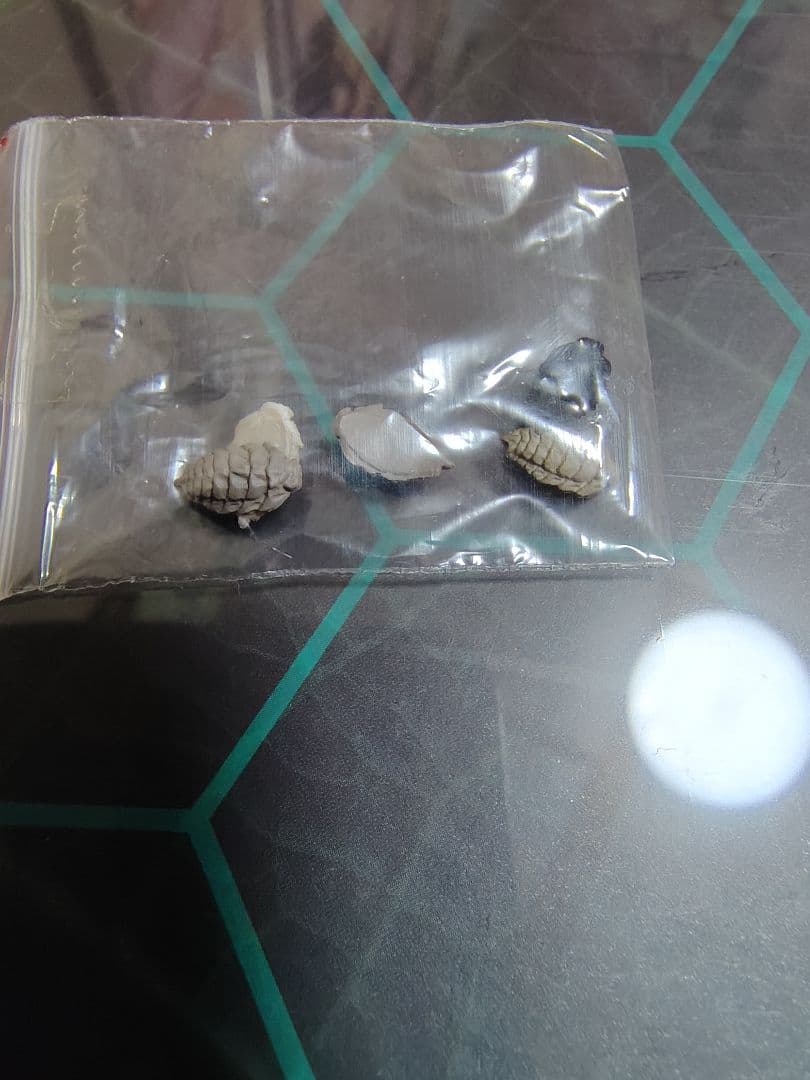 【特典付き】 骸音シーエ フィギュアセット