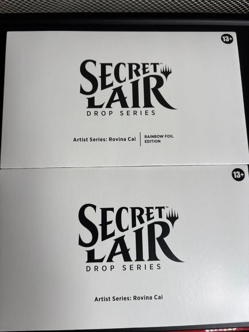 MTG【Foil】Artist Series: Rovina Cai