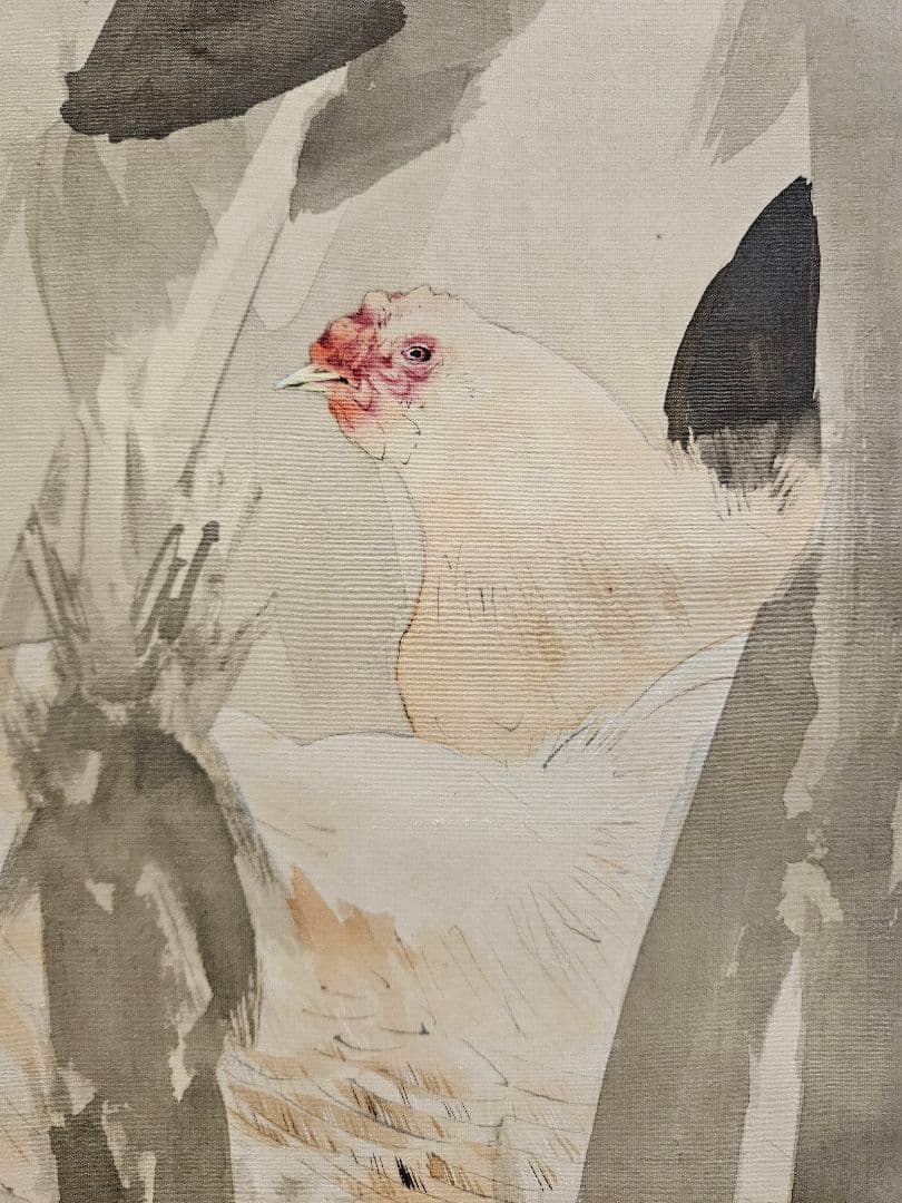渡辺省亭 鶏図 花鳥画　菊池容斎師事 絹本 骨軸先