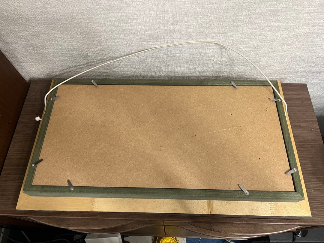 オウムガイ　ハーフカット　額入