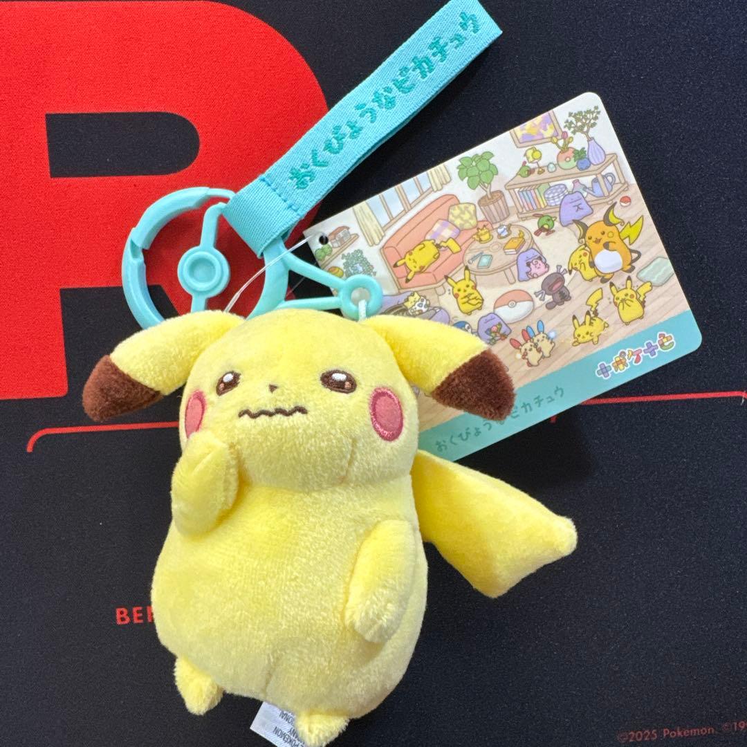 十ポケ十色　ピカチュウ メタモン　ぬいぐるみ