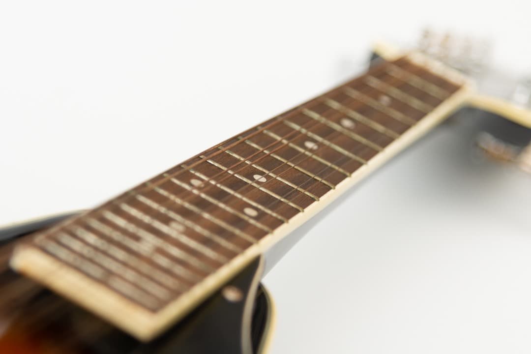 【値下】【中古】ARIA アリア マンドリン AM-20 ピックアップ・ケース付