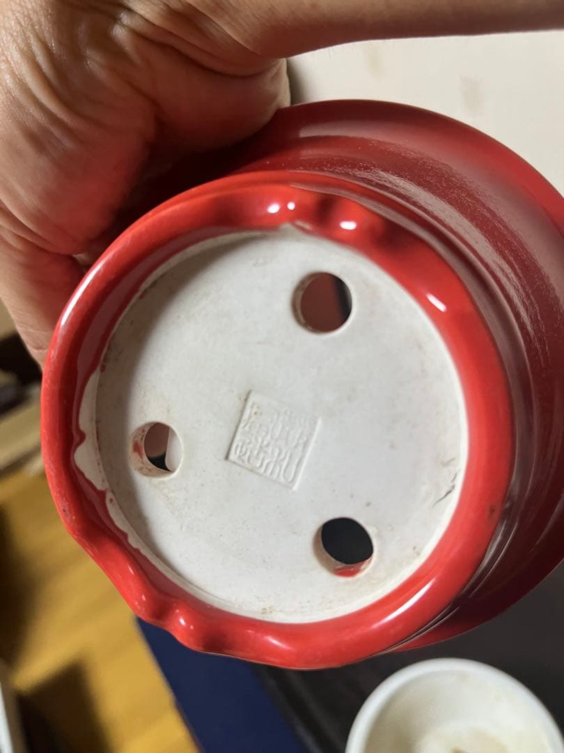 380 盆栽　盆栽鉢　植木鉢　中国鉢　3鉢