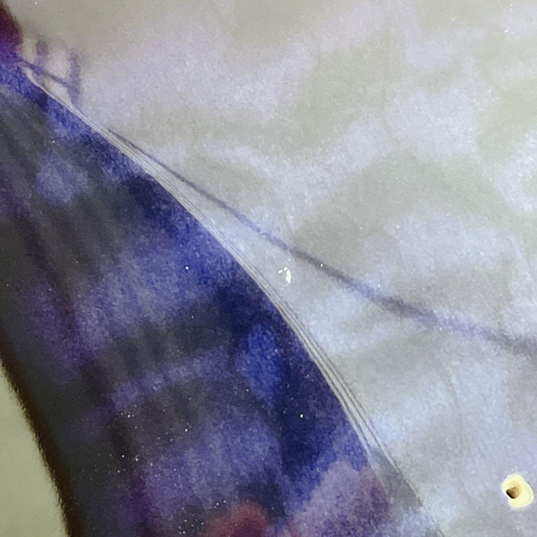 レアカラー FERNANDES FGZ-420 レフティ 左利き用